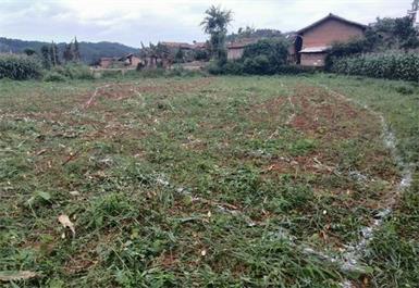 砚山县阿猛镇迷法村委会迷法村村庄环境综合治理