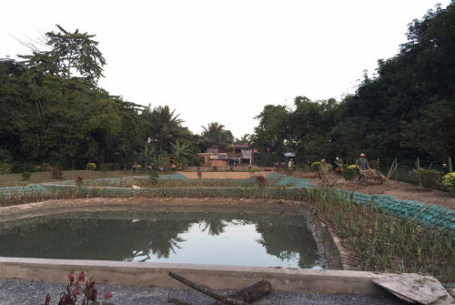 景洪市勐罕镇曼桂村农村环境综合整治连片治理项目