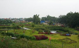 云南省环保厅领导莅临景洪市嘎洒镇污水处理站指导工作